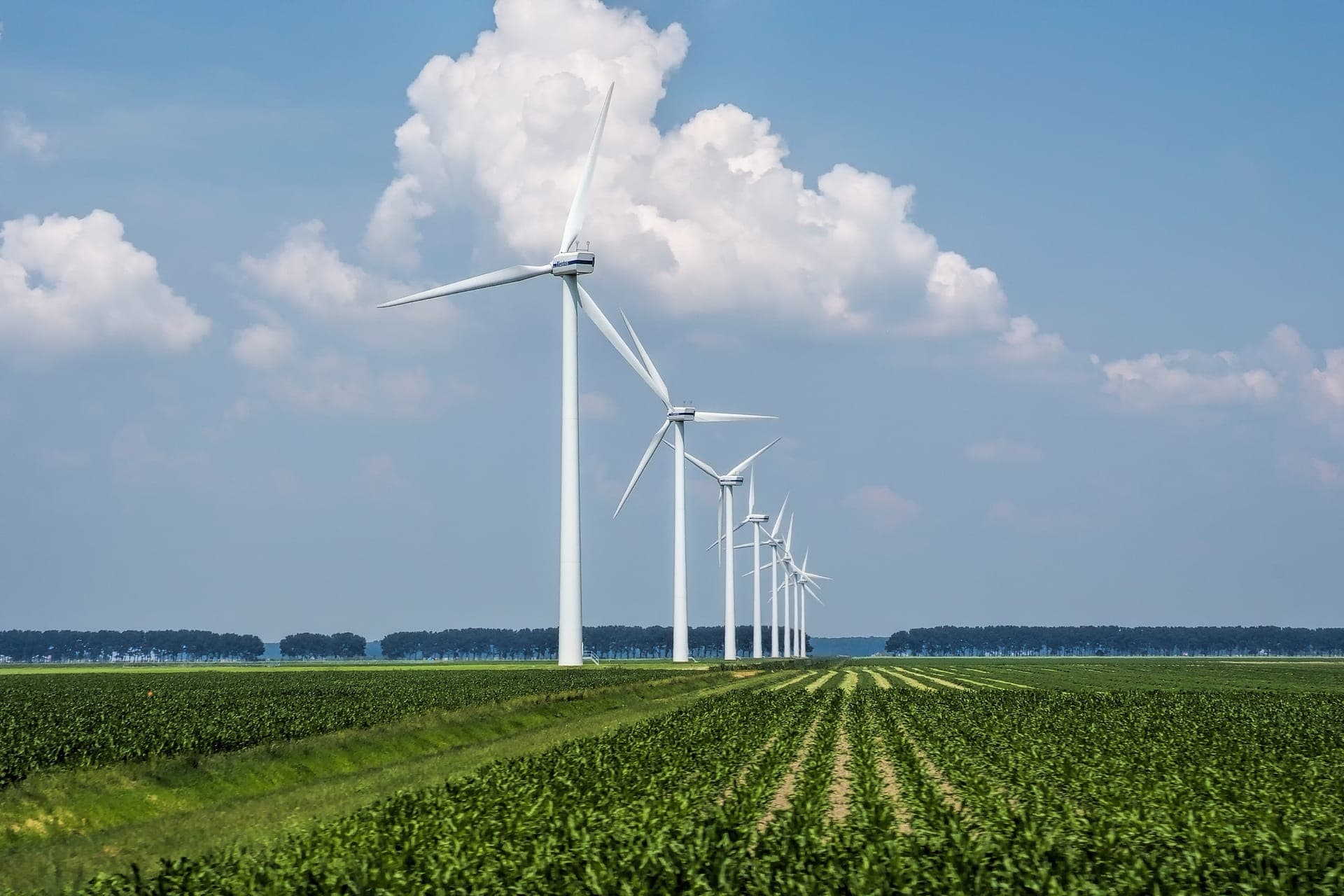 Parque de aerogeneradores: sector de energía renovable certificable